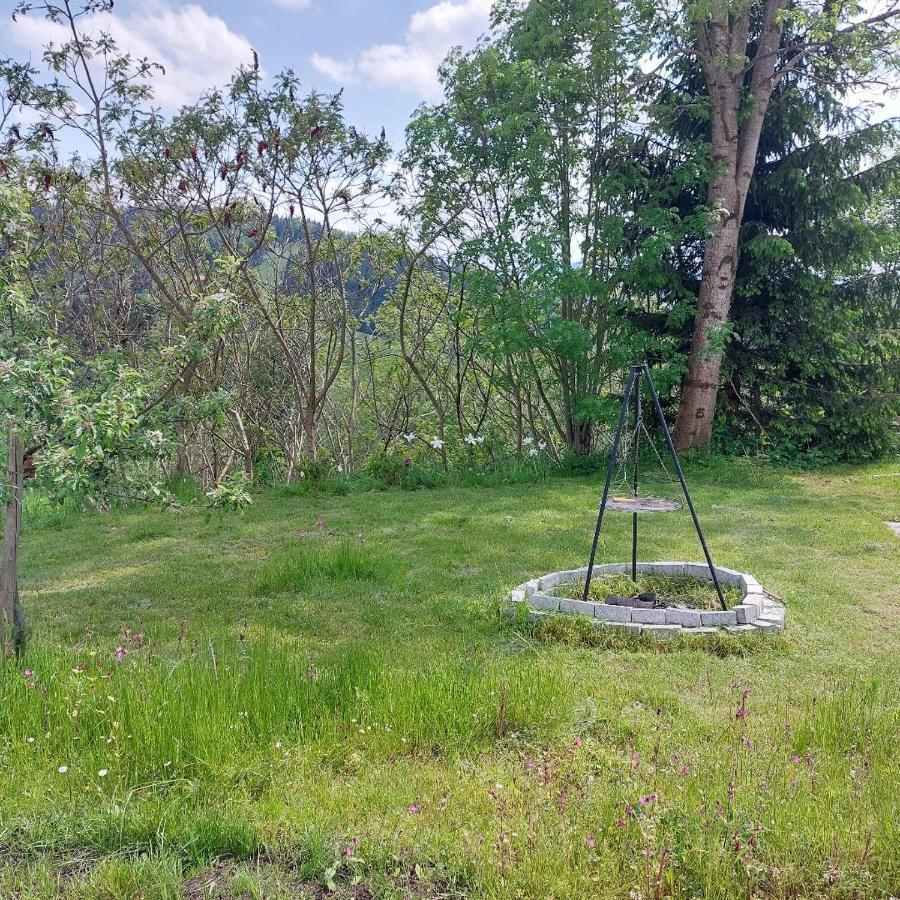 Apartment Hirsch Grunenbach Екстер'єр фото